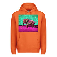Carrot colorful elephant Premium Hoodie - LillyAllenDesigns
