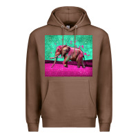 Chestnut colorful elephant Premium Hoodie - LillyAllenDesigns