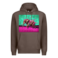 Coffee colorful elephant Premium Hoodie - LillyAllenDesigns