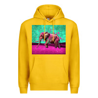 Lemon colorful elephant Premium Hoodie - LillyAllenDesigns