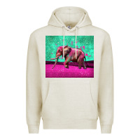 Oatmeal Heather colorful elephant Premium Hoodie - LillyAllenDesigns