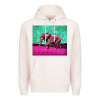 Pale Pink colorful elephant Premium Hoodie - LillyAllenDesigns