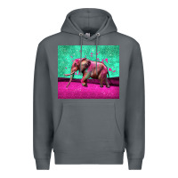 Rock colorful elephant Premium Hoodie - LillyAllenDesigns