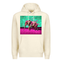 Sandshell colorful elephant Premium Hoodie - LillyAllenDesigns