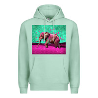 Seafoam colorful elephant Premium Hoodie - LillyAllenDesigns
