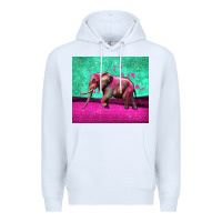 White colorful elephant Premium Hoodie - LillyAllenDesigns
