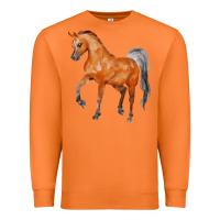 Carrot horse Premium Sweatshirt - FaDigitalArtStudio
