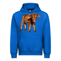 Cobalt red angus calf Urban Hoodie - LillyAllenDesigns