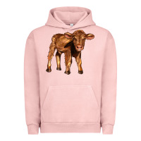 Pigment Salmon red angus calf Urban Hoodie - LillyAllenDesigns