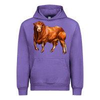 Tulip red angus bull Urban Hoodie - LillyAllenDesigns