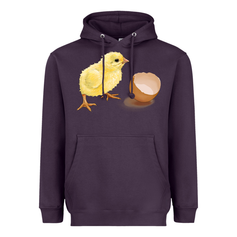 Chick With Egg Heavyweight Hoodie by RanaPortraitStore | Teevron