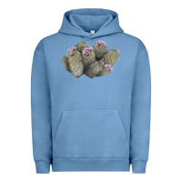 Pigment Pebble Blue cob beehive cactus Urban Hoodie - LillyAllenDesigns