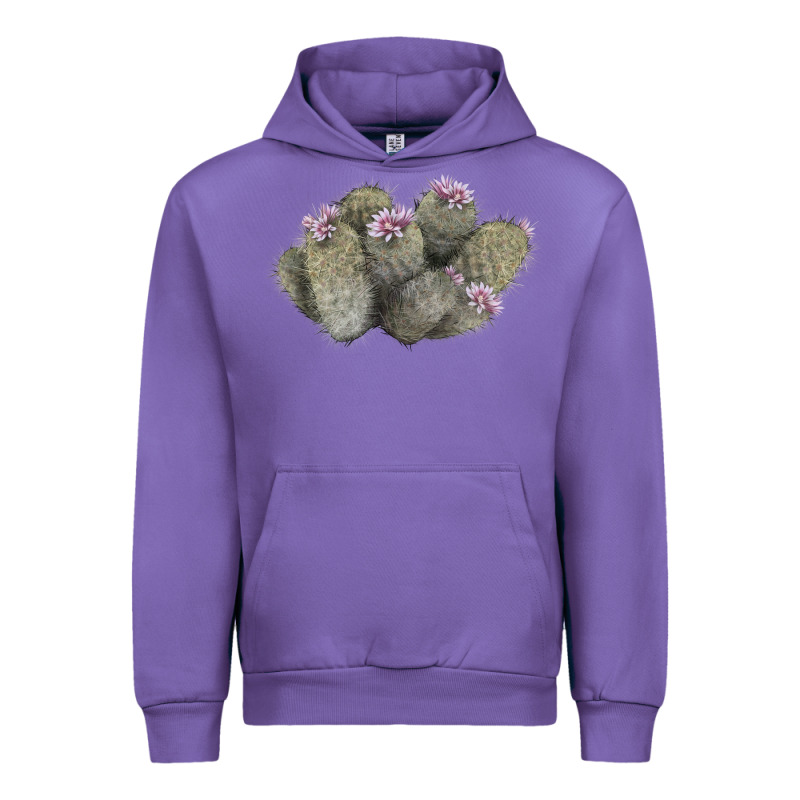 Cob Beehive Cactus Urban Hoodie by LillyAllenDesigns | Teevron