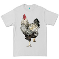 Dove Grey wyandotte rooster Premium Tee - LillyAllenDesigns
