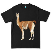 Black guanaco llama Premium Tee - LillyAllenDesigns