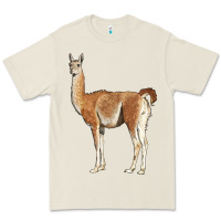 Bone guanaco llama Premium Tee - LillyAllenDesigns