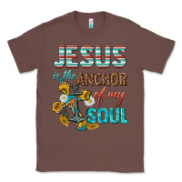 Chestnut jesus is the anchor of my soul Classic Tee - texasbilliewilder