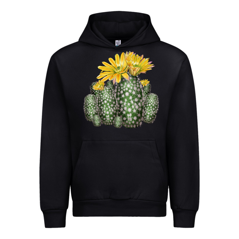 Texas Rainbow Cactus Urban Hoodie by LillyAllenDesigns | Teevron