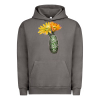 Pigment Tornado texas rainbow cactus Urban Hoodie - LillyAllenDesigns