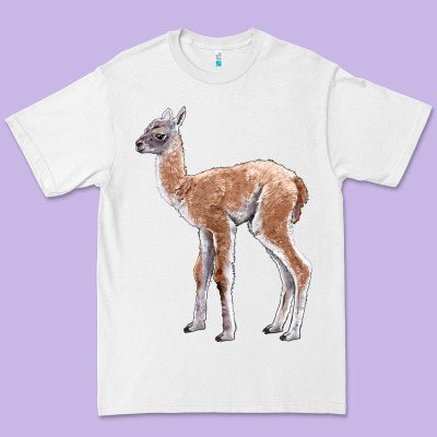 Guanaco Llama Baby Premium Tee Designed By Lillyallendesigns