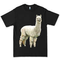 Black Alpaca Premium Tee - LillyAllenDesigns