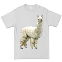 Dove Grey Alpaca Premium Tee - LillyAllenDesigns