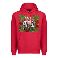 Cardinal merry Christmas heifer Premium Hoodie - Jasminsmagicworld
