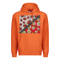 Carrot ladybug Premium Hoodie - BarkalooDesign