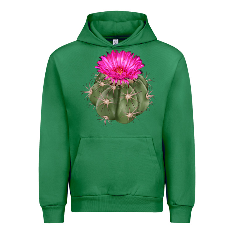 Eagle Claws Cactus Urban Hoodie by LillyAllenDesigns | Teevron