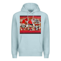 Blue Mist ladybug gnomies Premium Hoodie - BarkalooDesign