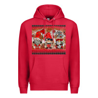 Cardinal ladybug gnomies Premium Hoodie - BarkalooDesign