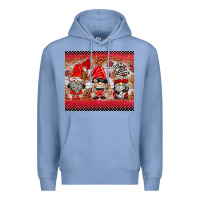 Colony Blue ladybug gnomies Premium Hoodie - BarkalooDesign