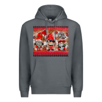 Rock ladybug gnomies Premium Hoodie - BarkalooDesign