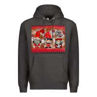 Smoke ladybug gnomies Premium Hoodie - BarkalooDesign