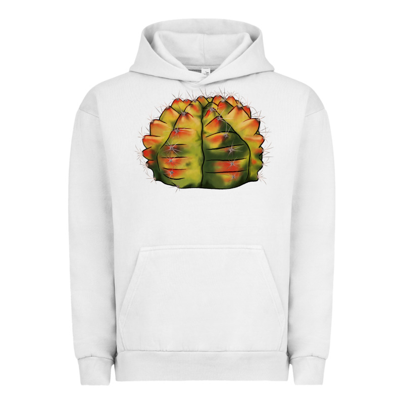 Gymnocalycium Variegated Cactus Urban Hoodie by LillyAllenDesigns | Teevron
