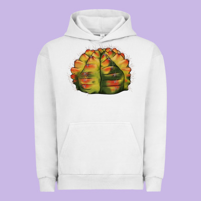 Gymnocalycium Variegated Cactus Urban Hoodie Designed By Lillyallendesigns
