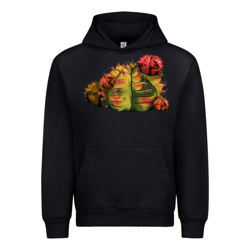 Gymnocalycium Variegated Cactus Urban Hoodie by LillyAllenDesigns | Teevron