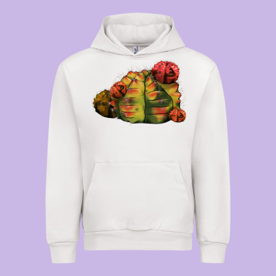 Gymnocalycium Variegated Cactus Urban Hoodie Designed By Lillyallendesigns