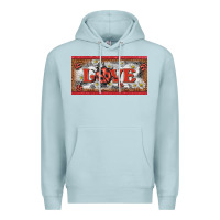 Blue Mist love ladybug    license plate template Premium Hoodie - BarkalooDesign