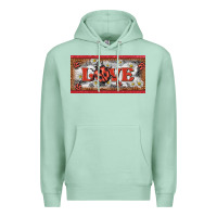 Seafoam love ladybug    license plate template Premium Hoodie - BarkalooDesign