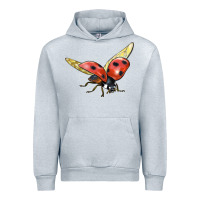 Heather Grey Ladybug Flying Urban Hoodie - LillyAllenDesigns