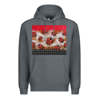 Rock ladybug tumbler Premium Hoodie - BarkalooDesign