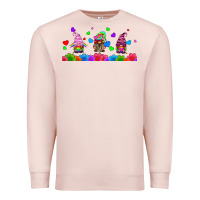 Pale Pink lgbtq gnome  libbey glass Premium Sweatshirt - HRA Design Shop