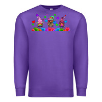 Purple lgbtq gnome  libbey glass Premium Sweatshirt - HRA Design Shop