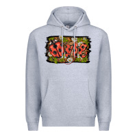 Ladybug One Background Premium Hoodie | Teevron