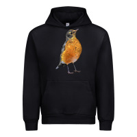 Black American Robin Bird Urban Hoodie - LillyAllenDesigns