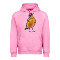 Fuchsia Pink American Robin Bird Urban Hoodie - LillyAllenDesigns