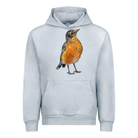 American Robin Bird Urban Hoodie | Teevron