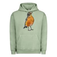 Pigment Oil Green American Robin Bird Urban Hoodie - LillyAllenDesigns