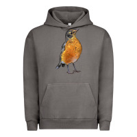 Pigment Tornado American Robin Bird Urban Hoodie - LillyAllenDesigns